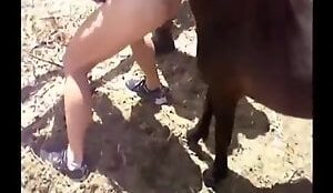 Cavalo deixando mulher sem andar em porn zoo