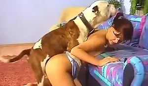 Coroa sem calcinha fazendo sexo com seu pitbull