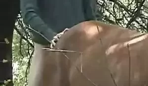 Fazendeiro sendo filmado comendo sua égua