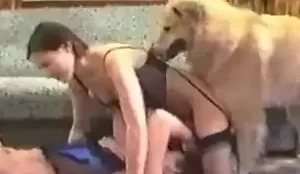 Homem chupando mulher quando cão resolveu participar