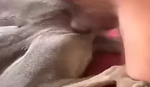 Homem em video amador comendo sua cadelinha