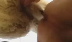 Video adulto onde tem animal metendo a rola grossa