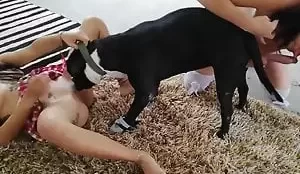 Casal fazendo sexo e colocando cachorro no meio