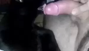 Homem colocando sua gata para lamber o caralho