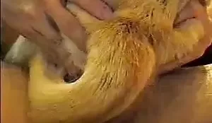 Homem fazendo video caseiro comendo animais