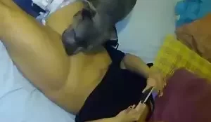 Porno de cachorro lambendo bucetas raspadas