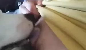 Xvideos com cachorro aprendendo a lamber