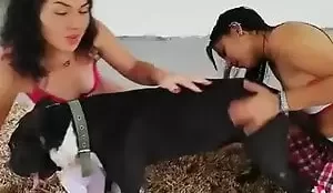 Duas mulheres dando banho no cachorro em porno