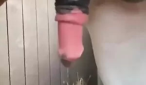 Homem filmando animal com o seu pau duro